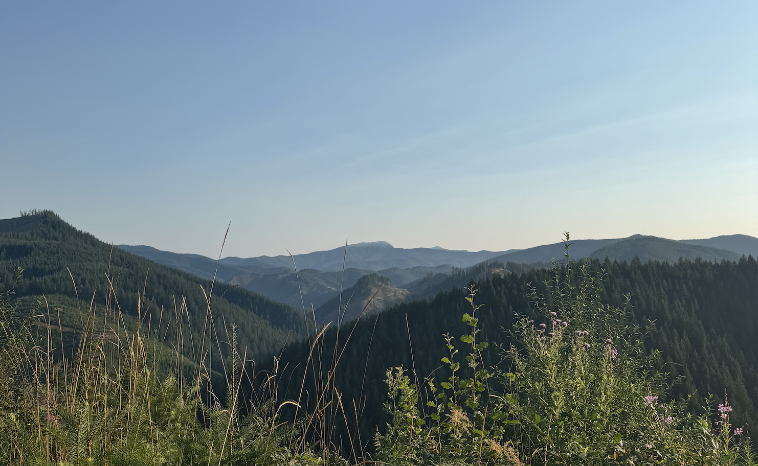 Screenshot 2024 08 10 at 8.13.12 Pm