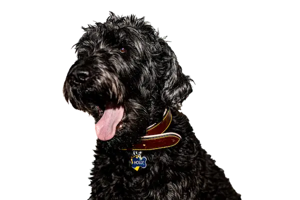 This is my best friend. She is pretty cool.